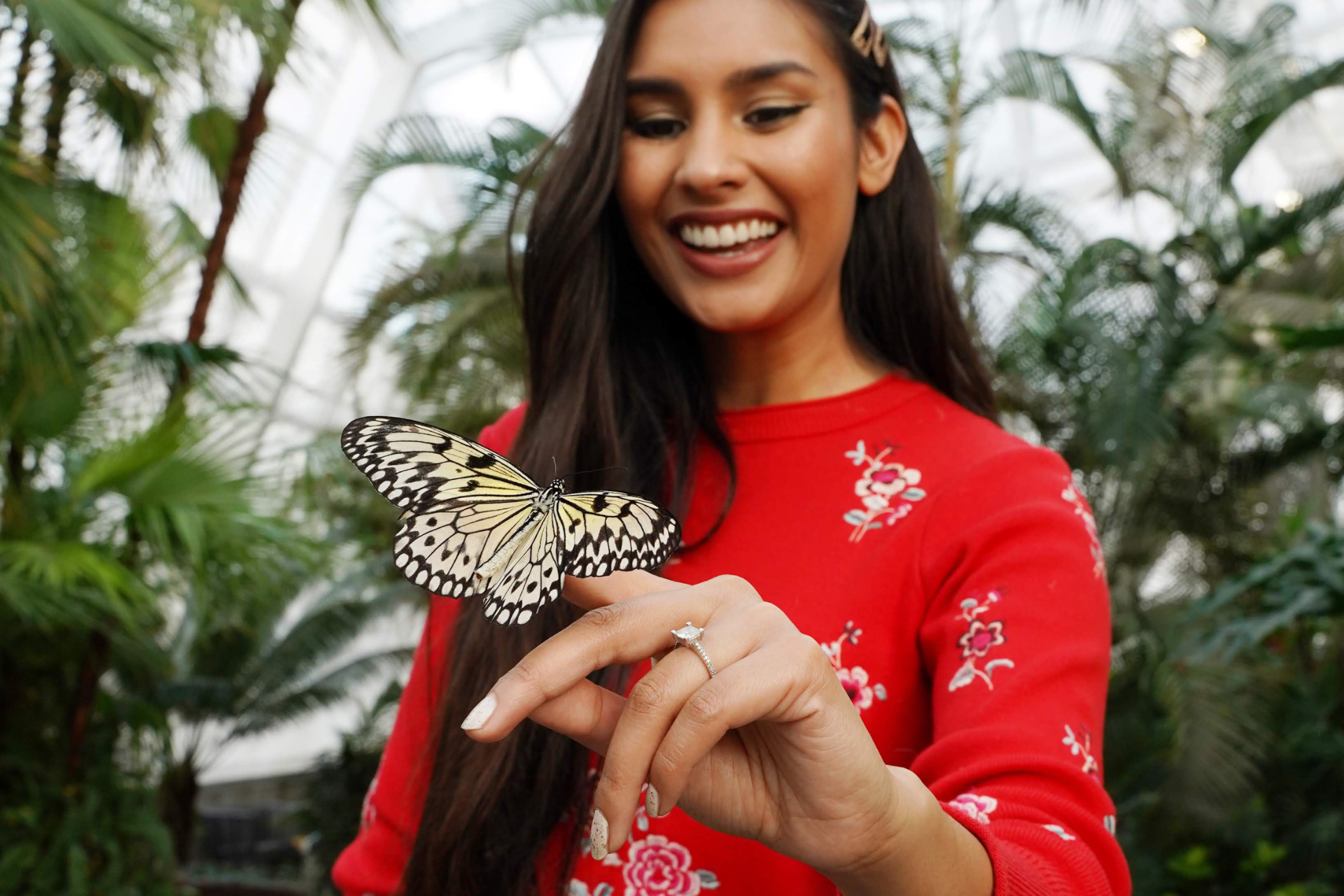 Butterfly Conservatory 