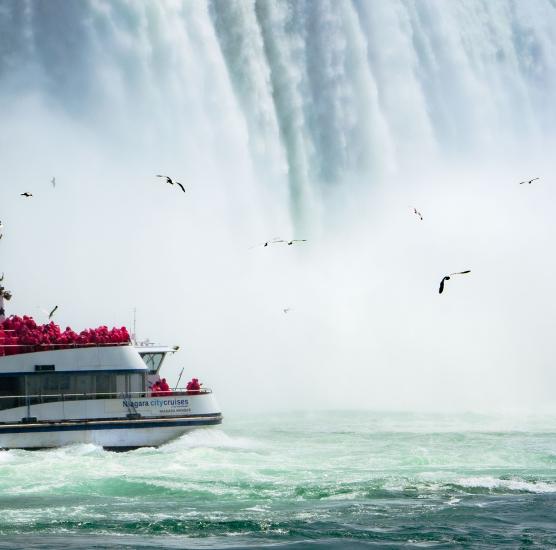 Gray Line Niagara Falls