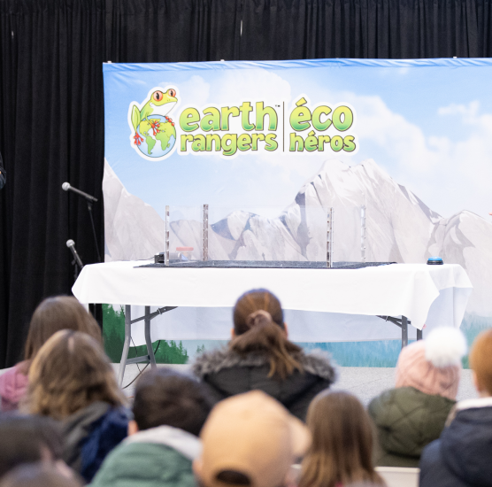 Family Day at the Museum & Exchange